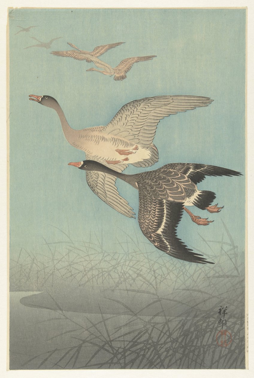 Barnacle Geese in Flight by Ohara Koson