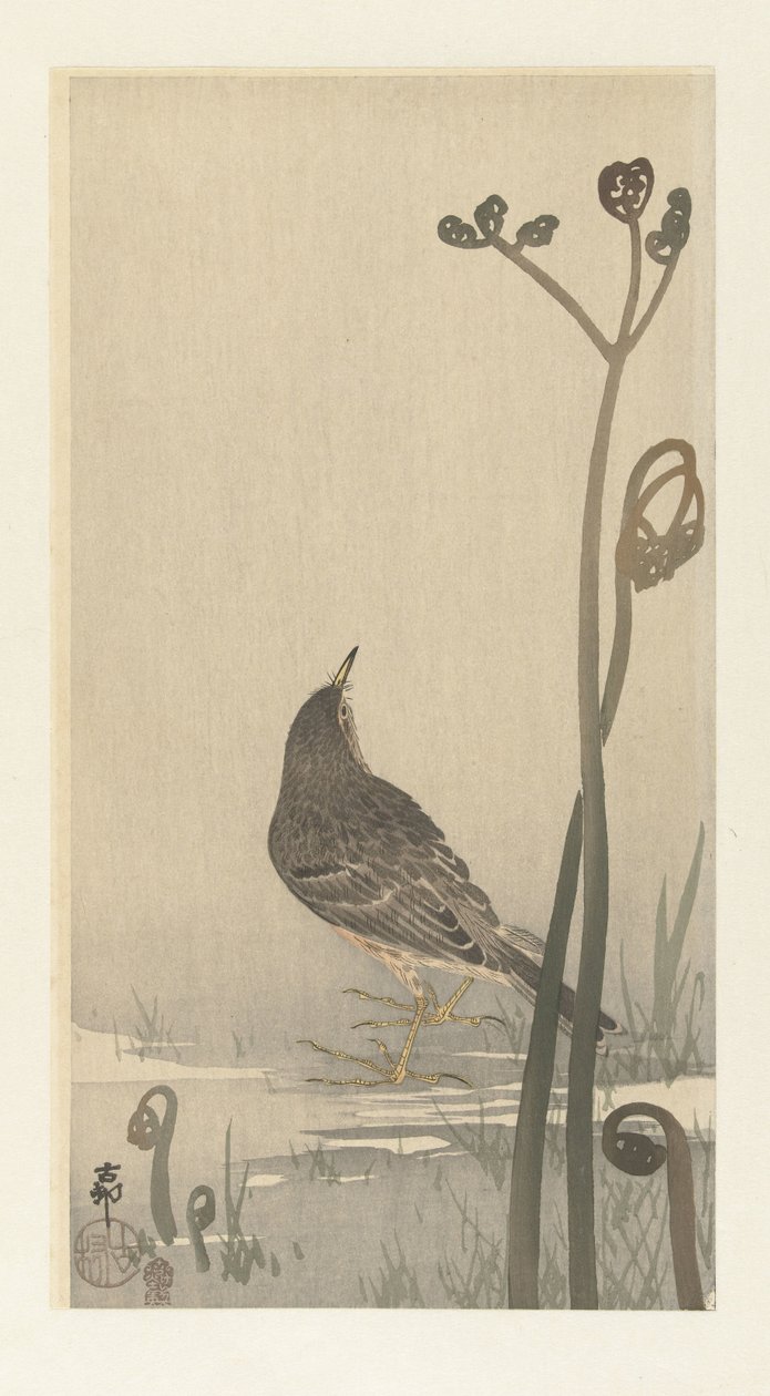 Piper at the Waterside by Ohara Koson