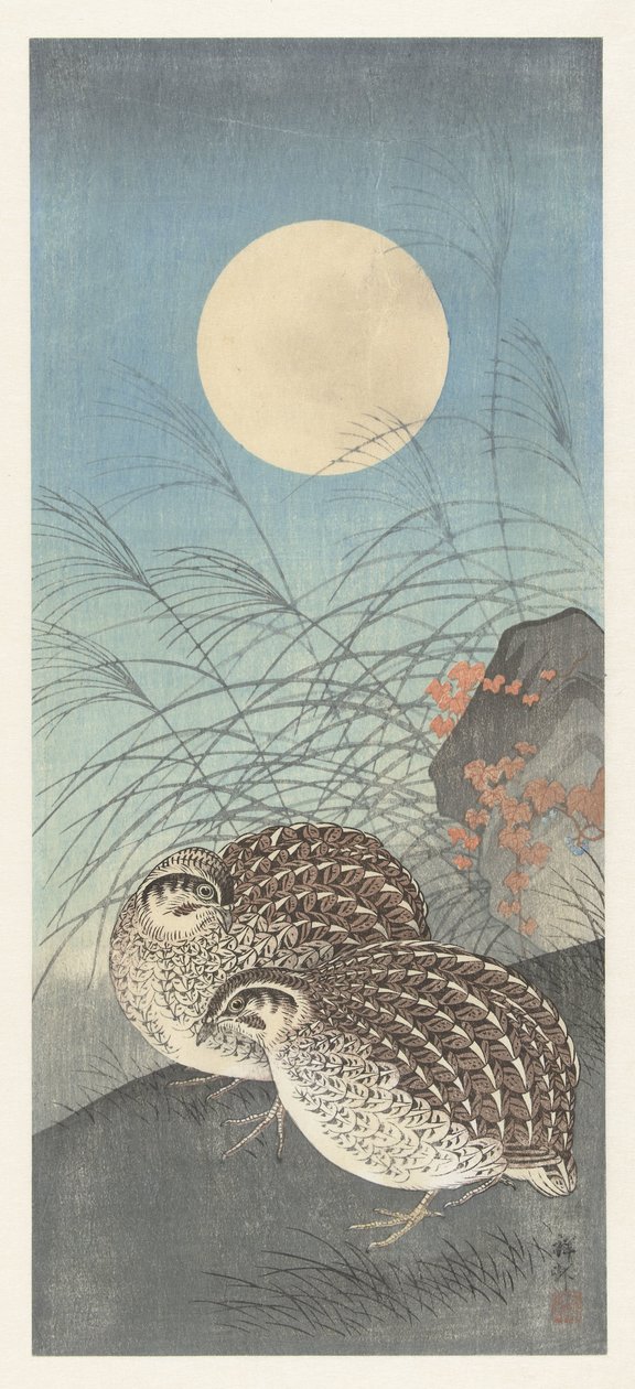 Two Quails by the Full Moon by Ohara Koson