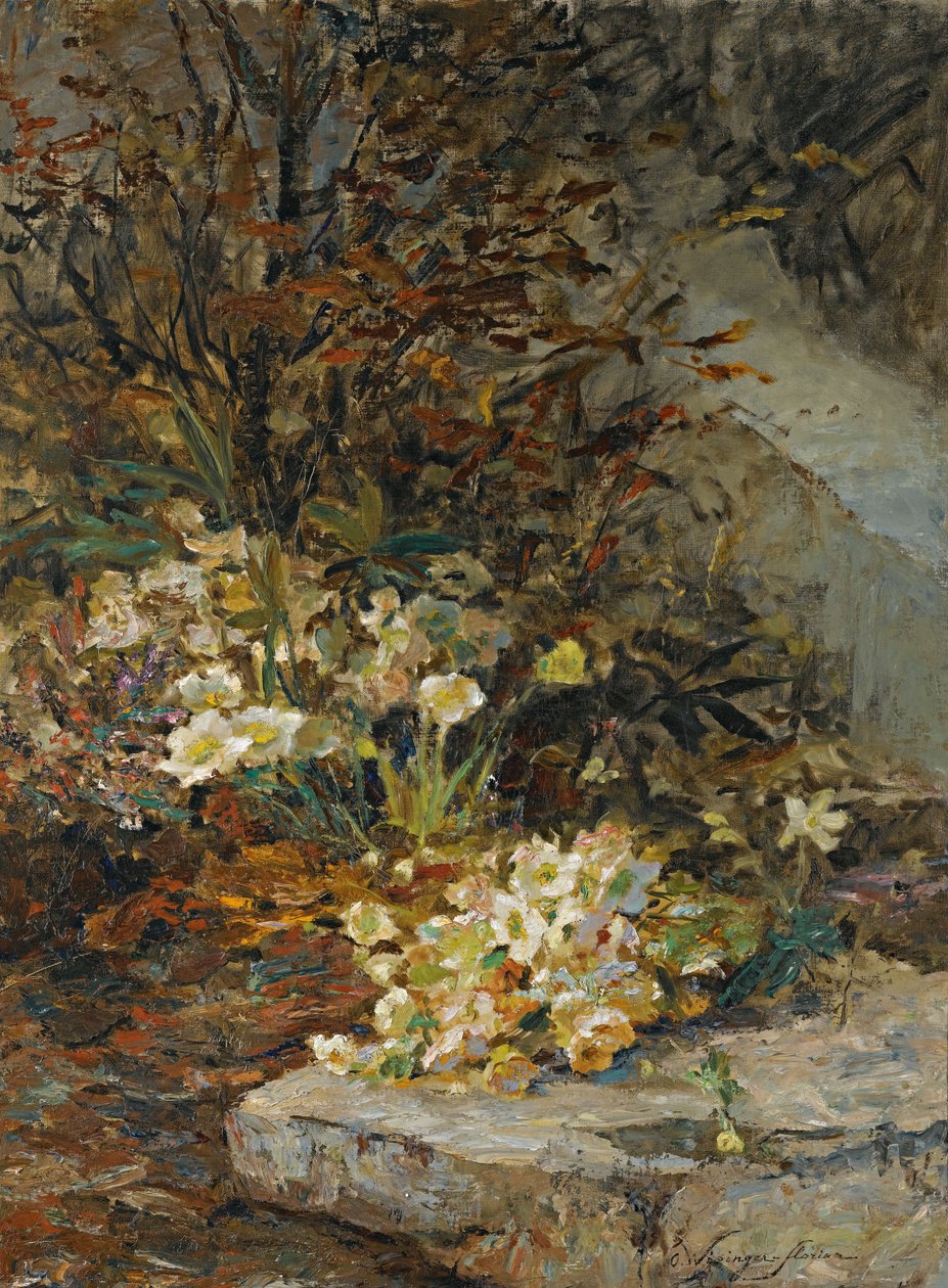 Hellebores by Olga Wisinger Florian