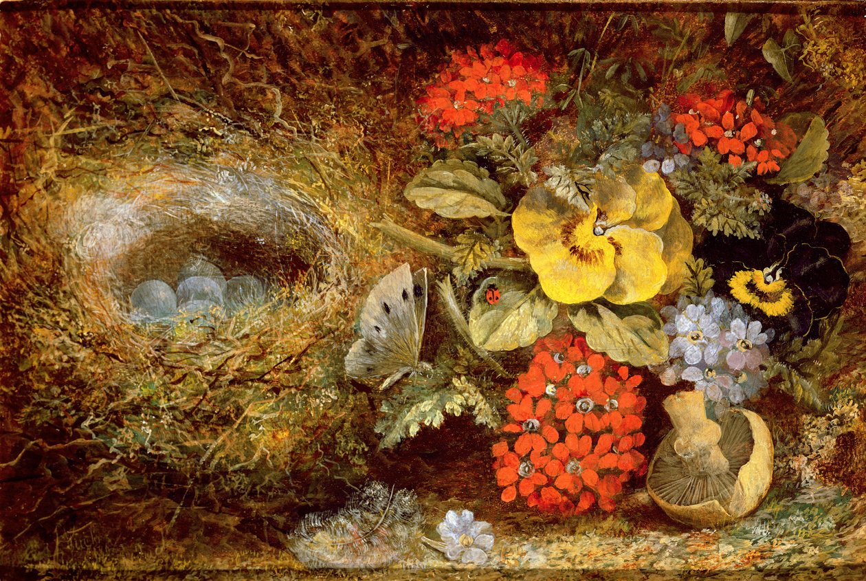 Flowers and Bird
