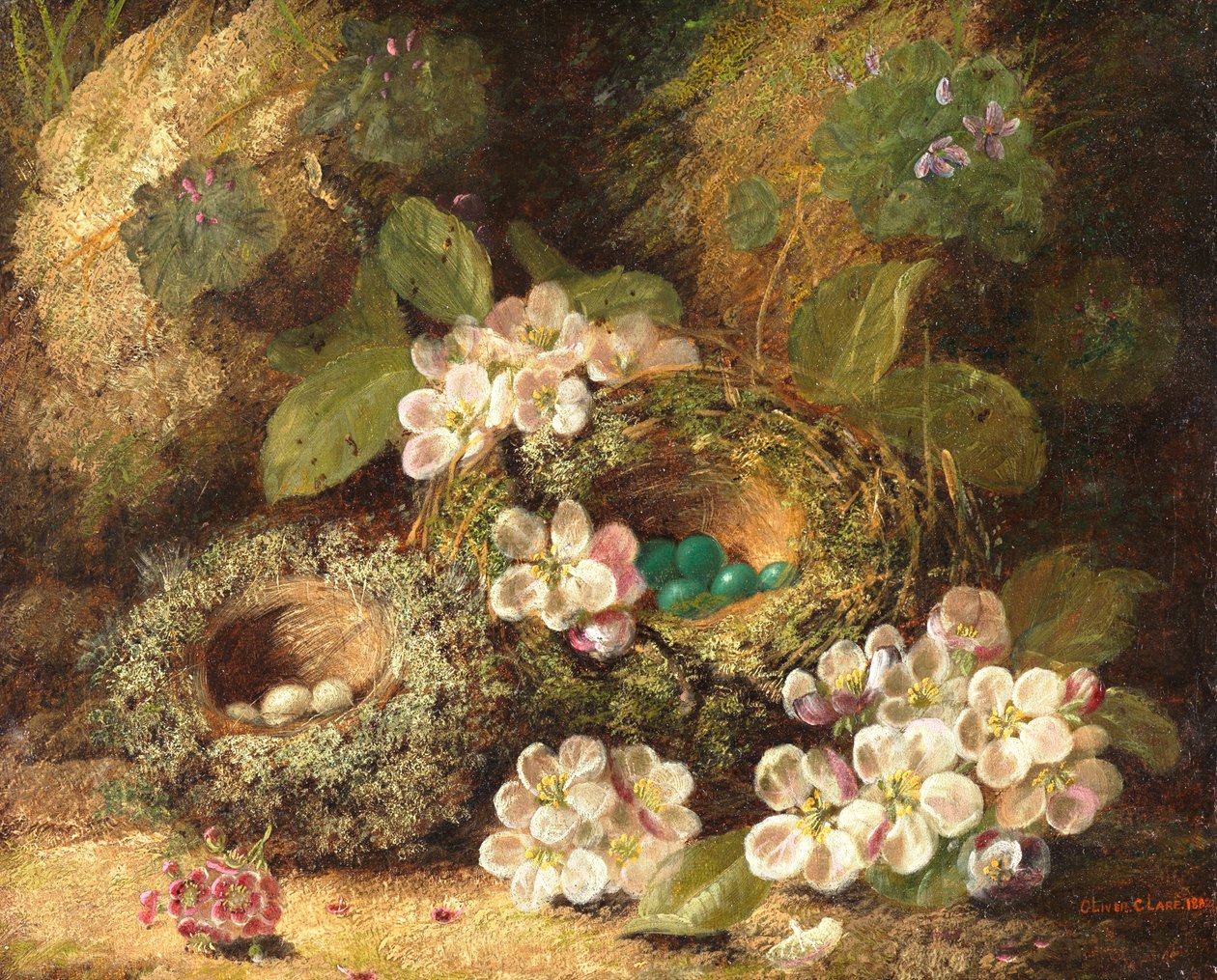 Primroses and Bird