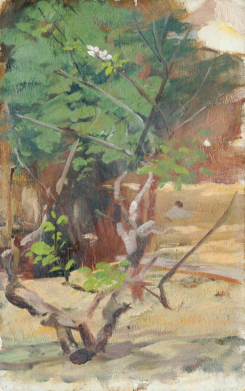 Branched Young Tree with Two Blossoms by Otto Friedrich