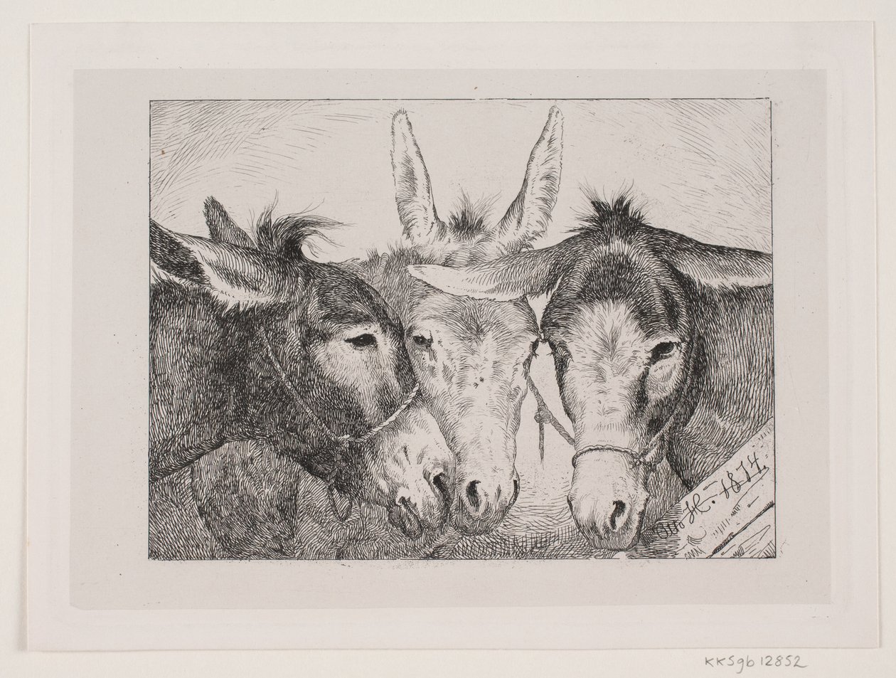 Three Donkey Heads by Otto Haslund