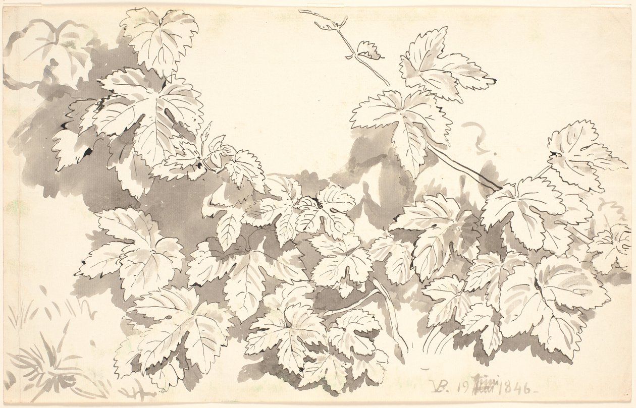 Study Sheet. Oak Leaves. by P.C. Skovgaard