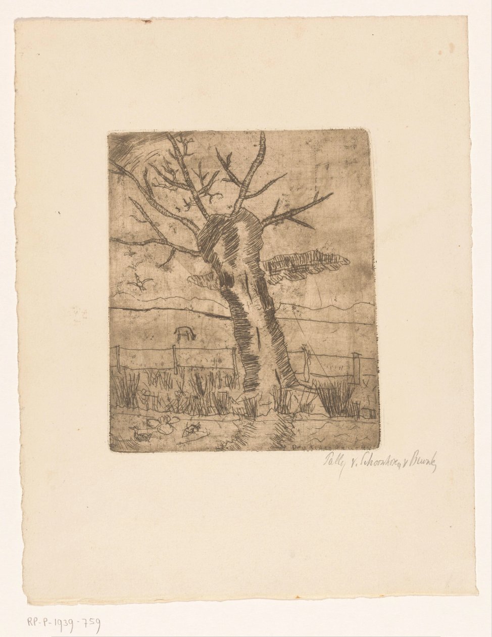 Willow Tree in Front of a Fence by Pally van Schoonhoven