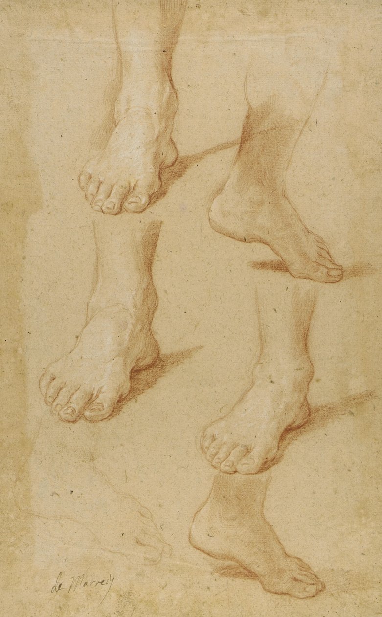 Drawing by Paolo de Matteis