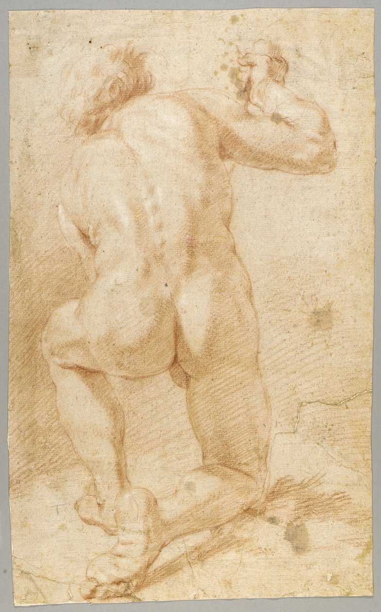 Drawing by Paolo de Matteis