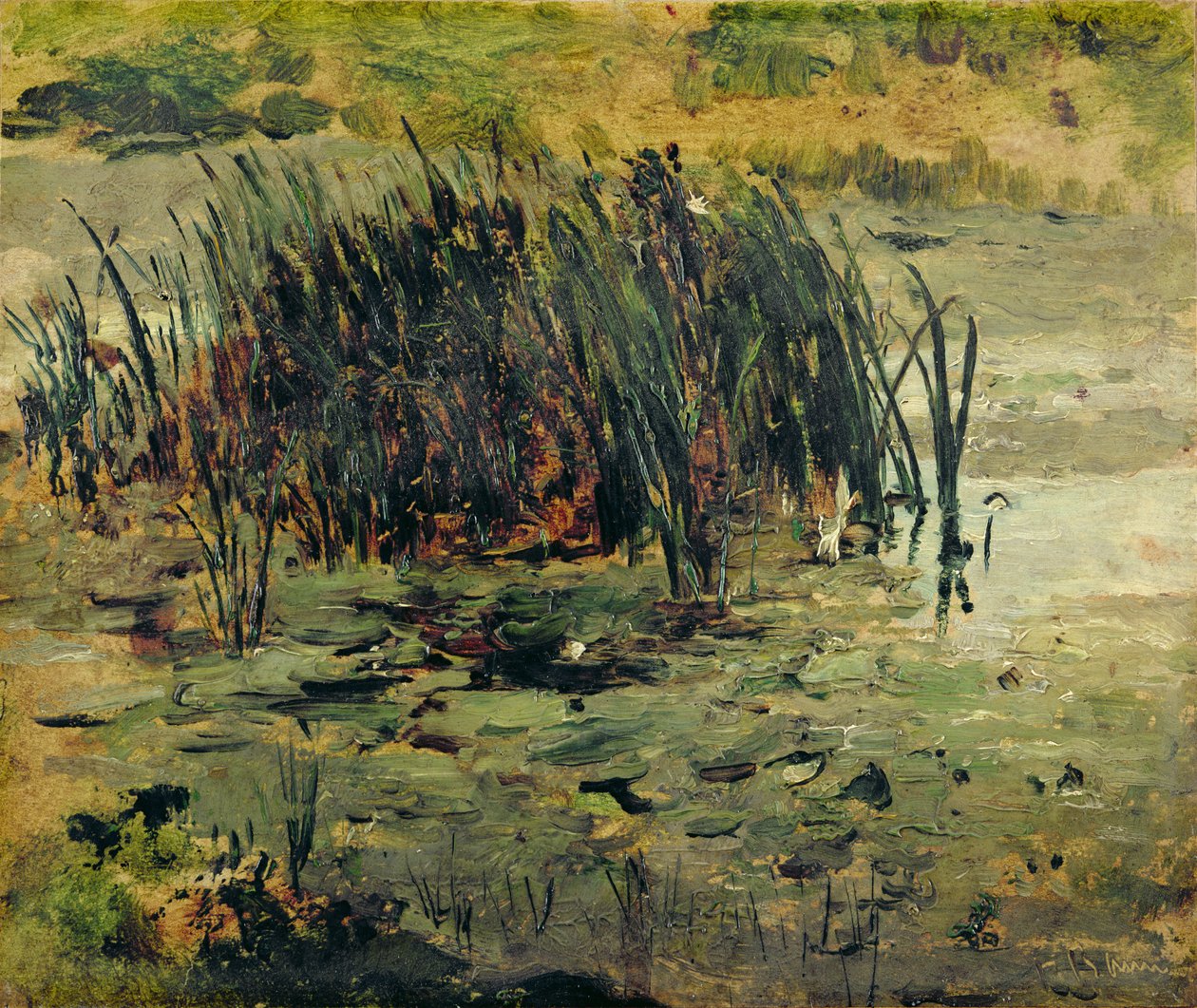 Reeds in Shallow Water by Paul Baum