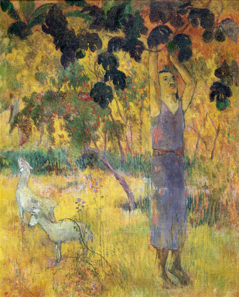 Man Picking Fruit from a Tree by Paul Gauguin