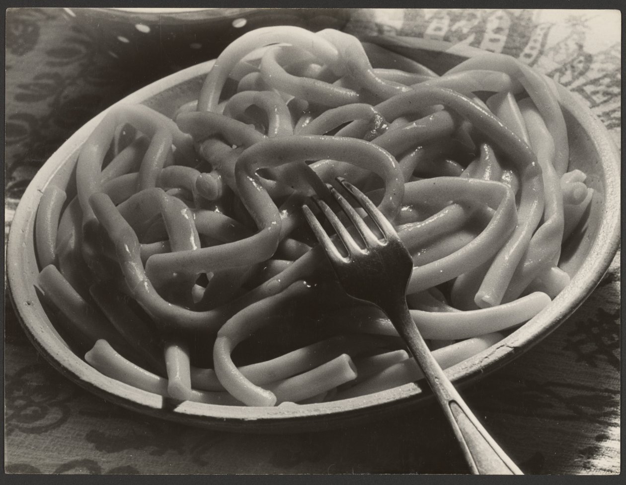 Plate of Noodles with Fork by Paul Wolff
