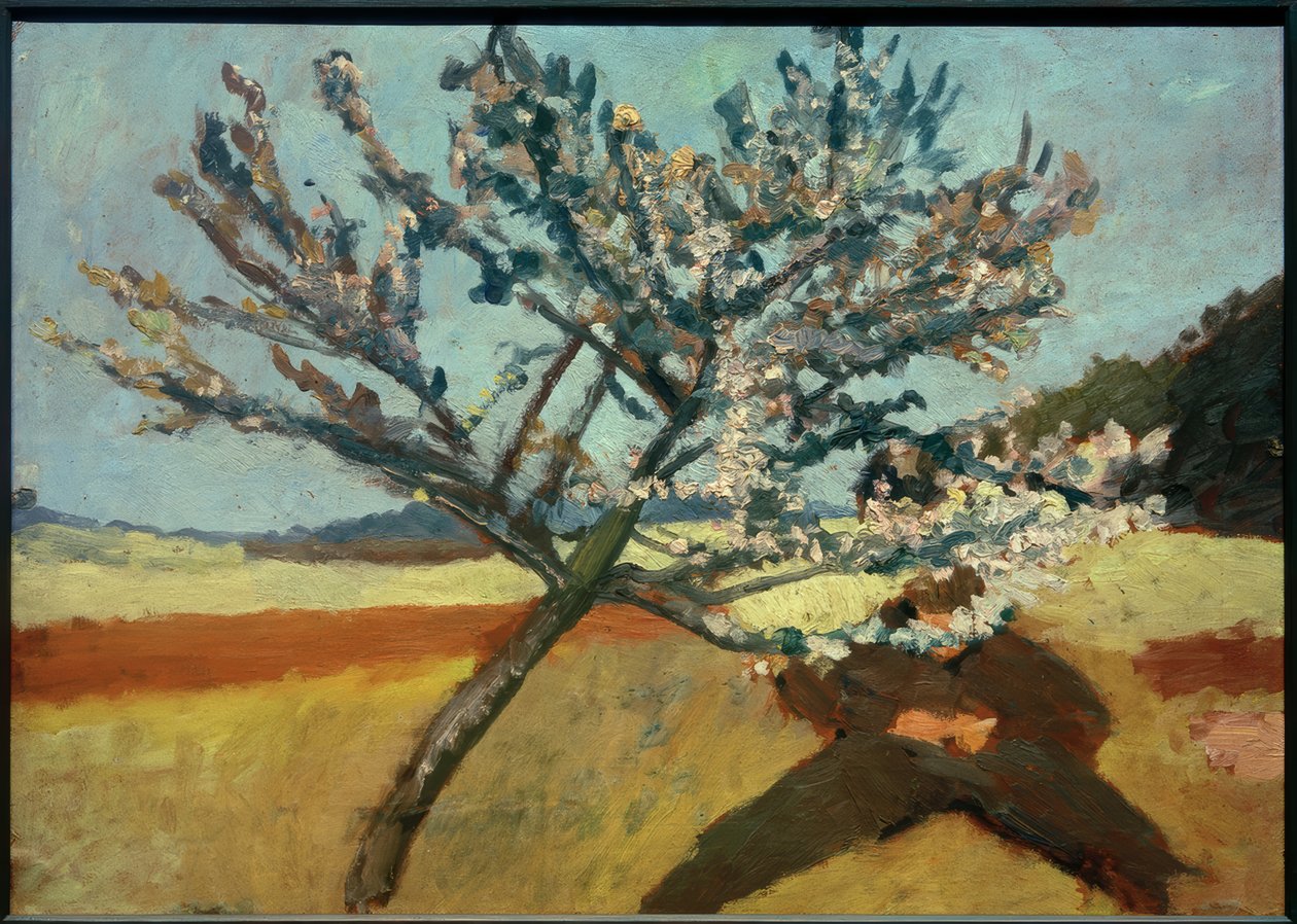 P. Modersohn-Becker, Reclining Man under Blooming Tree by Paula Modersohn Becker
