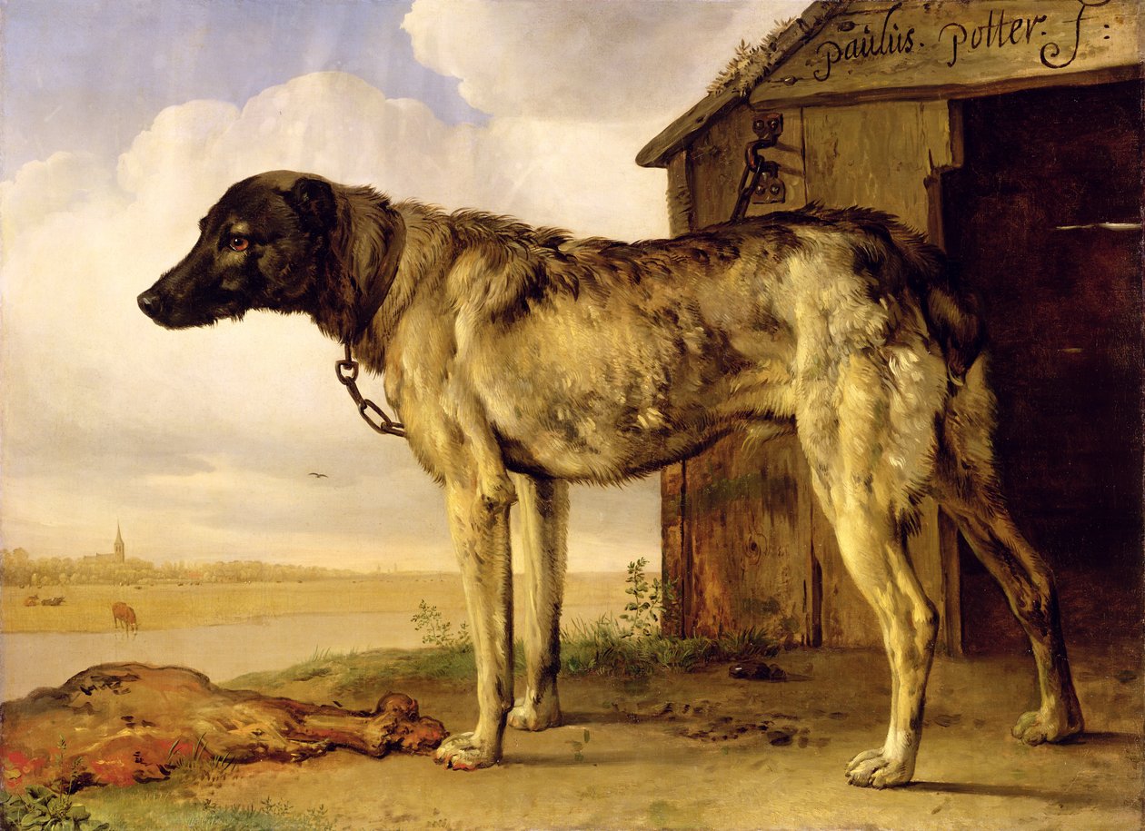 Dog on a Chain by Paulus Potter