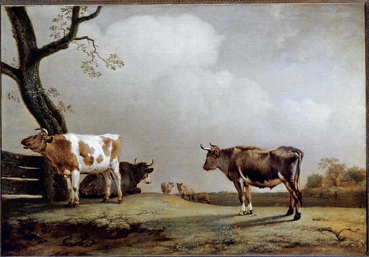 The Meadow by Paulus Potter