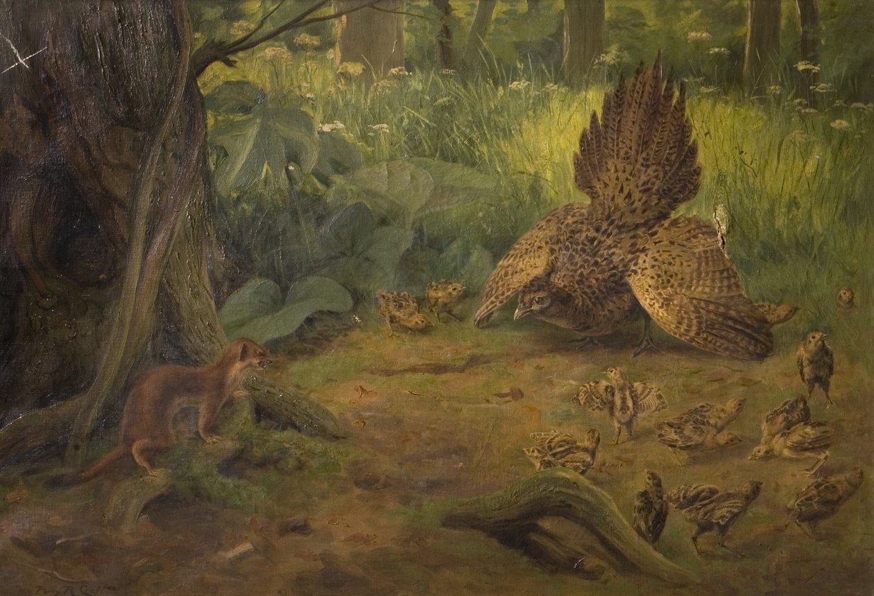 Defence not Defiance, early 20th century by Percy Robert Craft