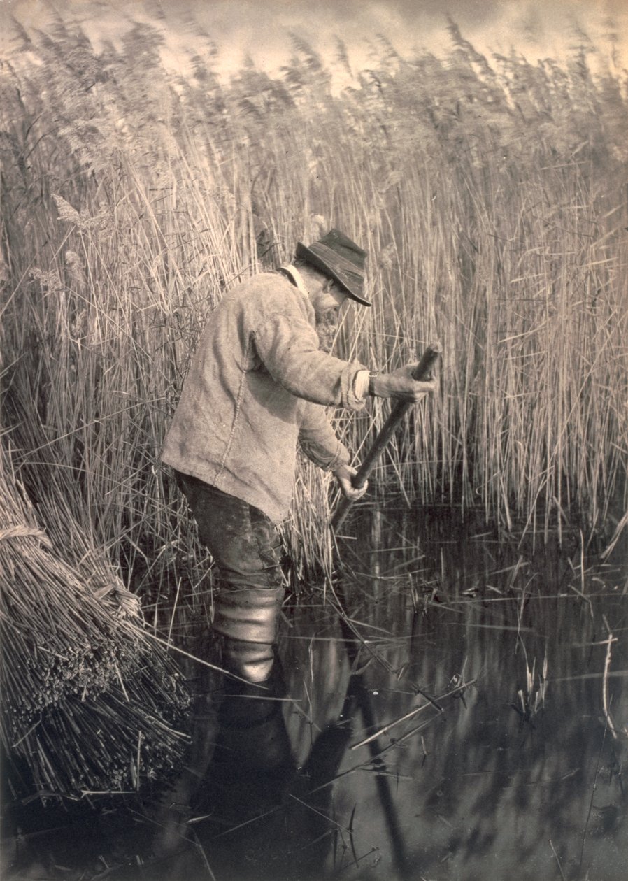 A Reed Cutter at Work, Life and Landscape on the Norfolk Broads, c.1886 by Peter Emerson und Thomas Goodall
