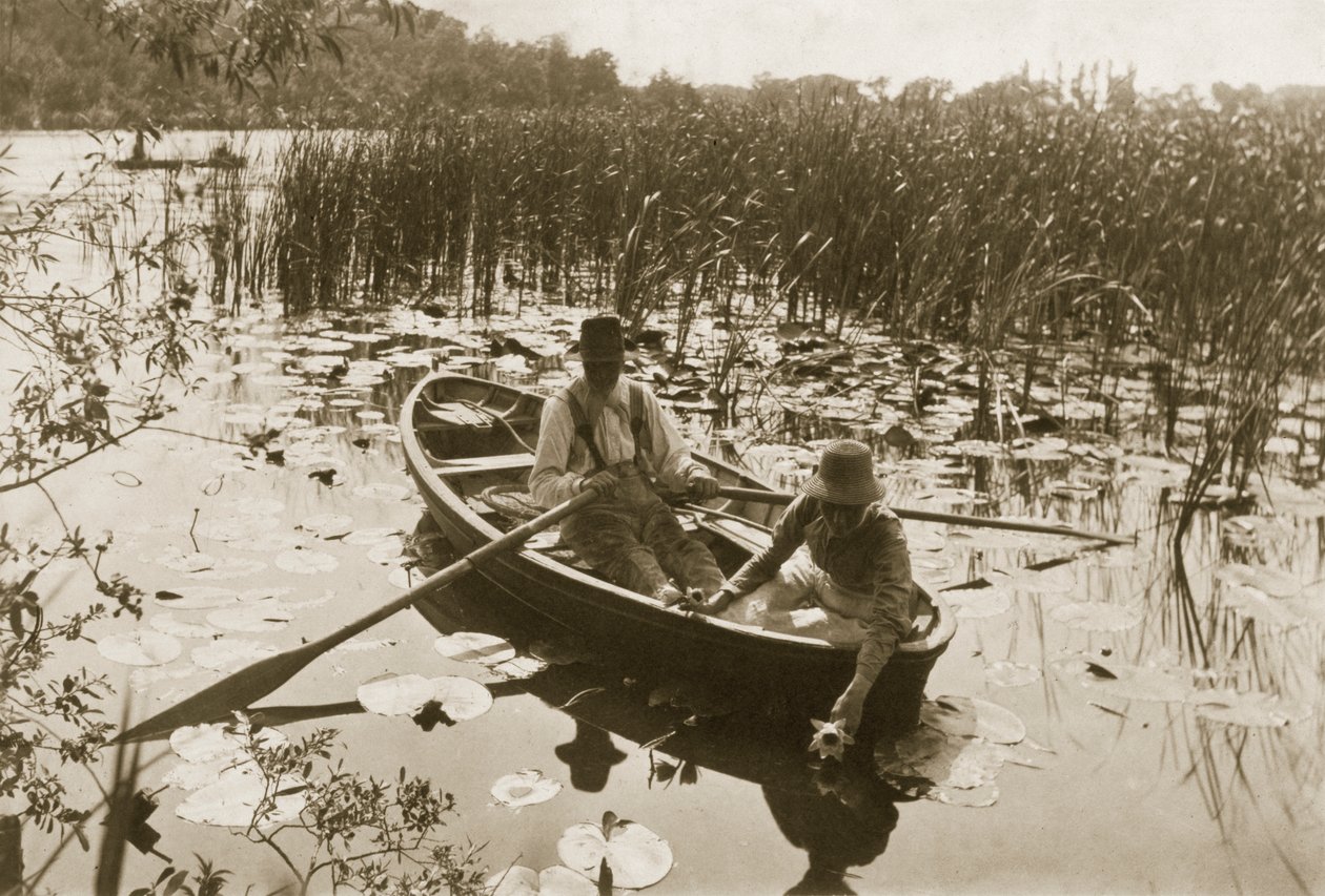 Gathering the Water-lilies by Peter Emerson und Thomas Goodall