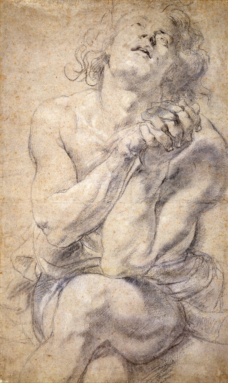 Seated Male Youth (Study for Daniel) by Peter Paul Rubens