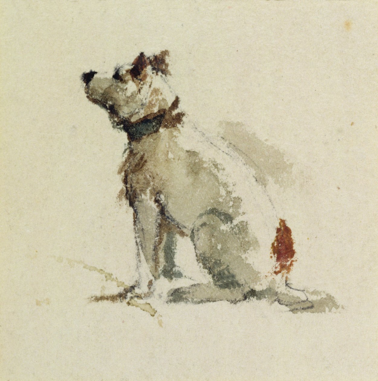 A Terrier, Sitting Facing Left by Peter de Wint