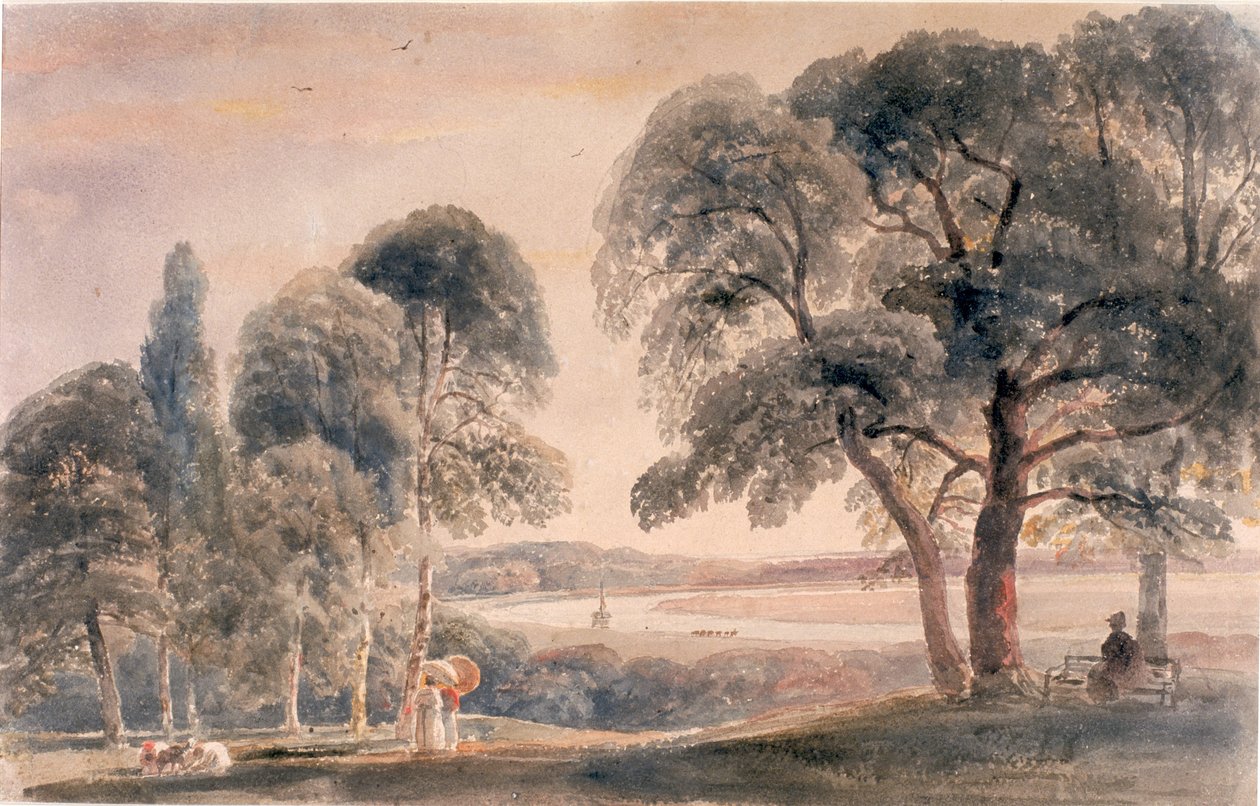 Weybridge Meadows by Peter de Wint