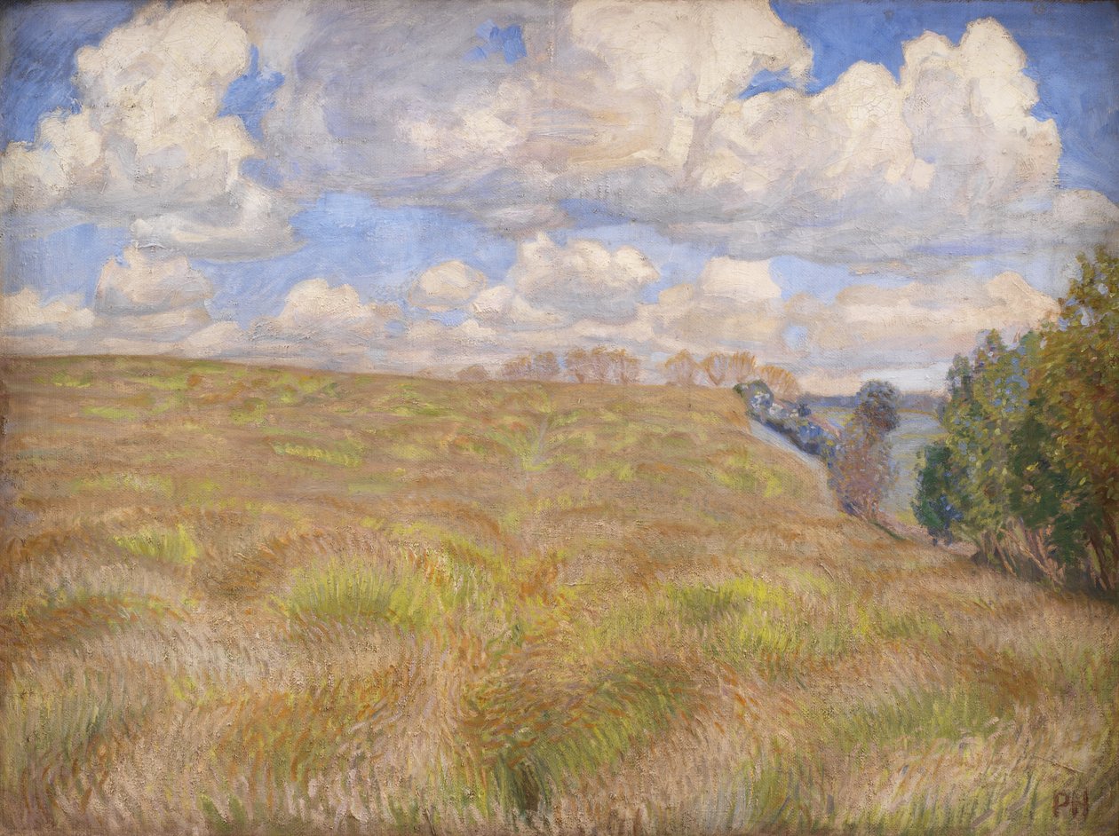 A Field of Waving Rye by Peter Hansen