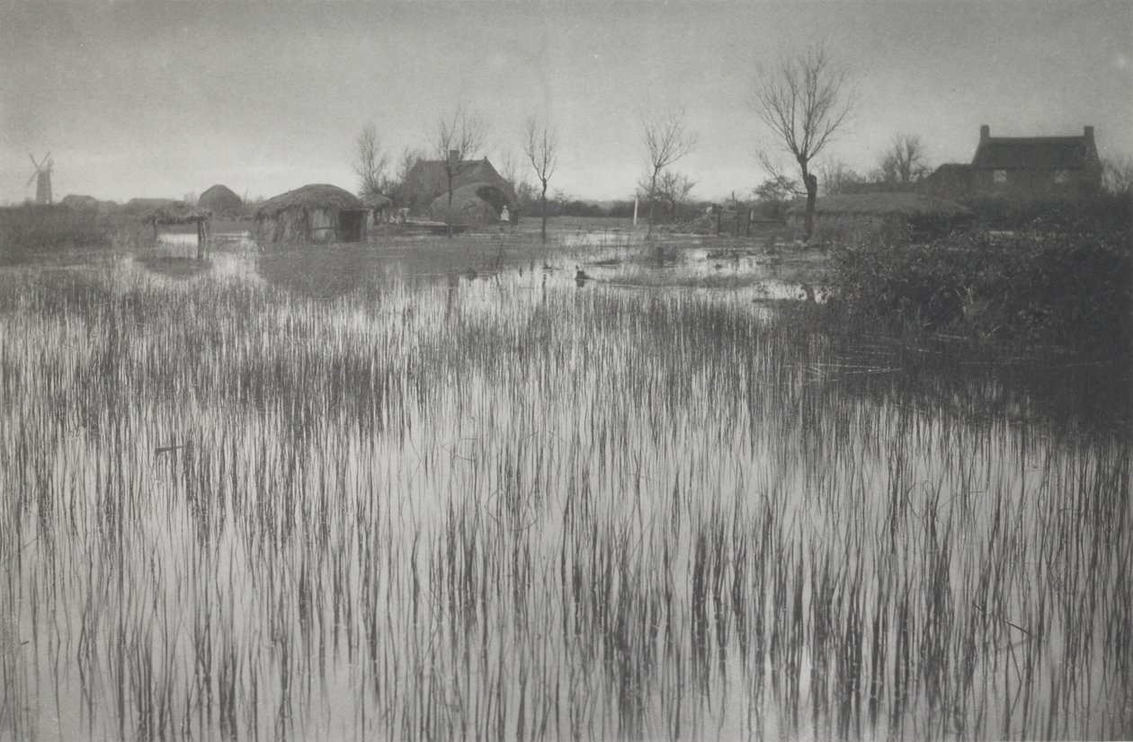 A Rushy Shore by Peter Henry Emerson