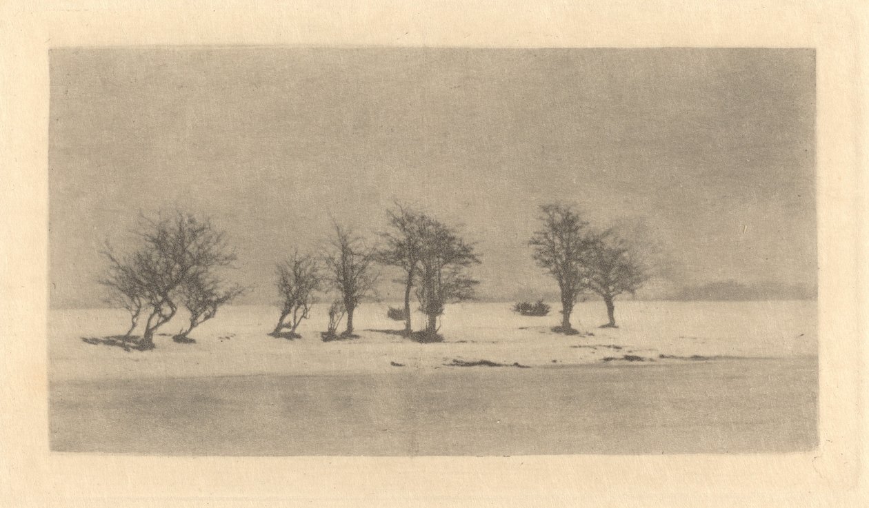 Gnarled-Thorn Trees by Peter Henry Emerson