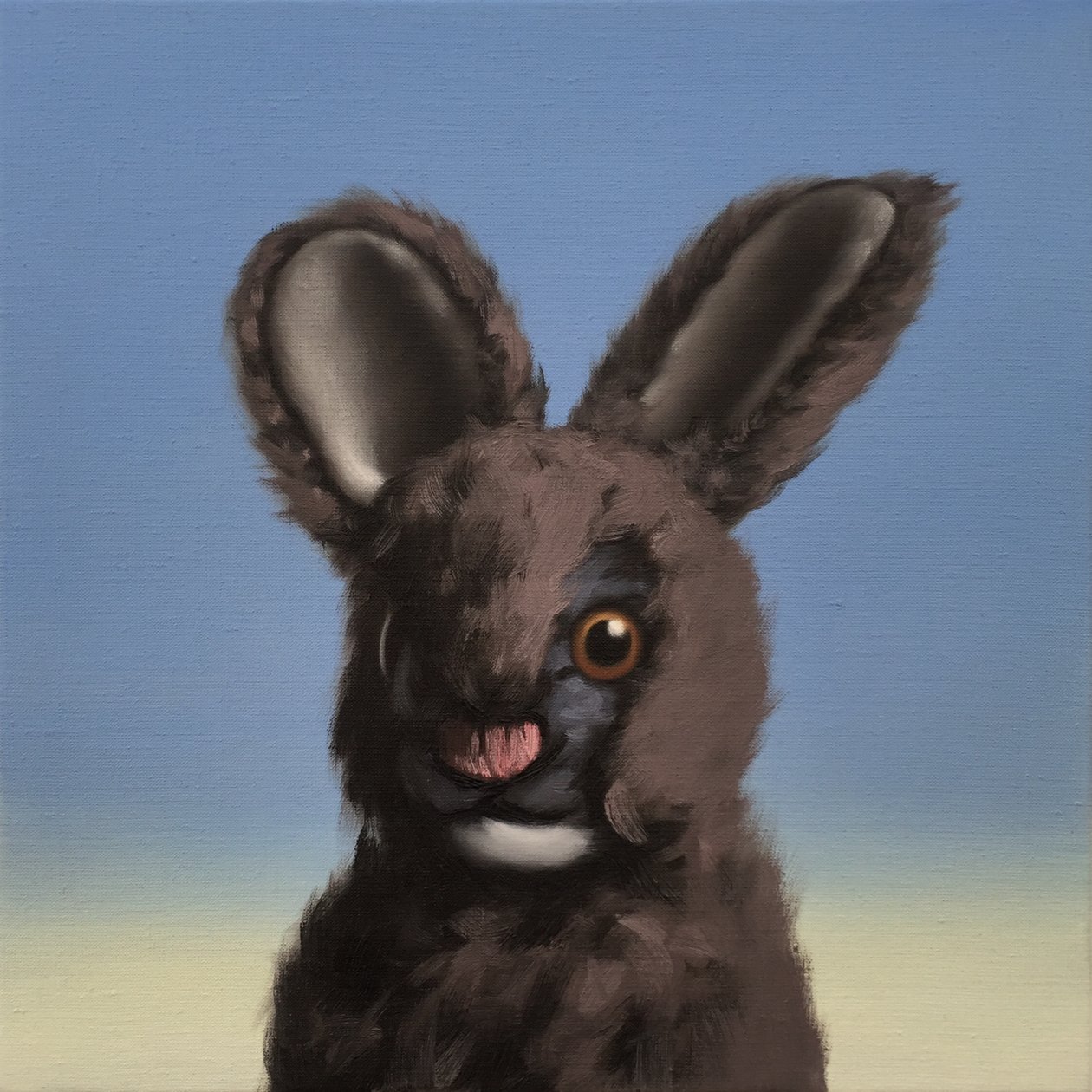Bunny by Peter Jones