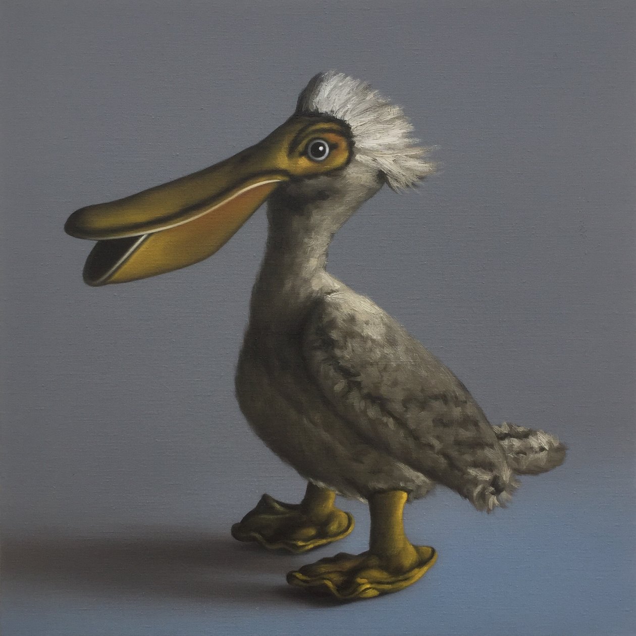 The Pelican by Peter Jones