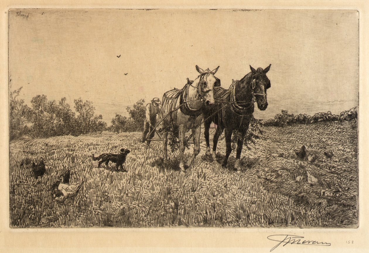 Fall Ploughing by Peter Moran