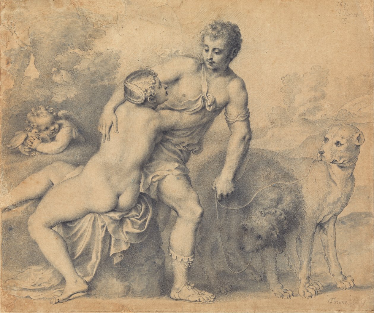 Venus and Adonis by Peter Oliver