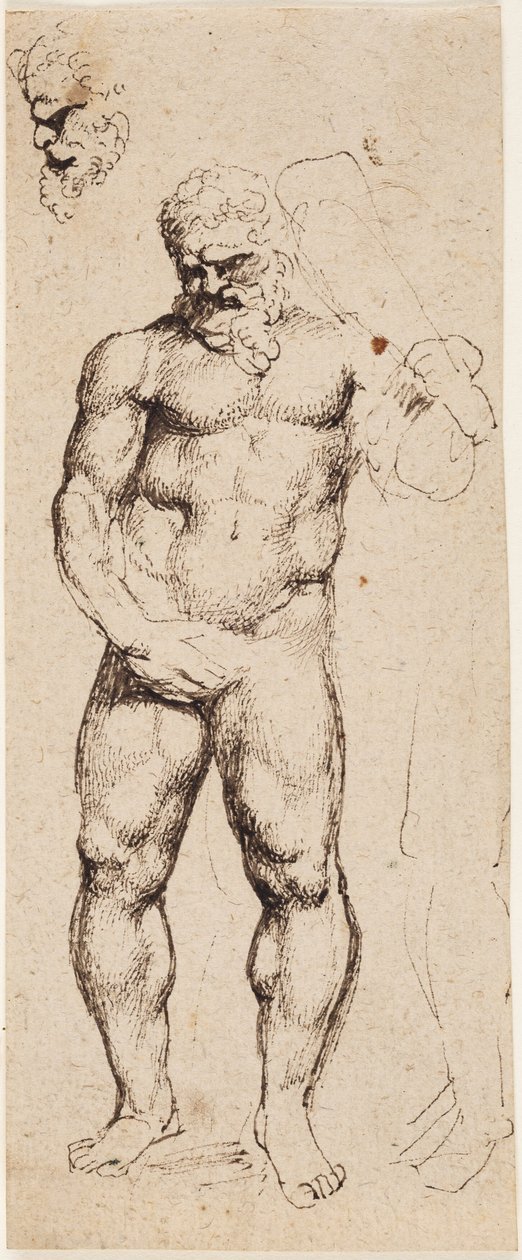 Hercules by Peter Paul Rubens