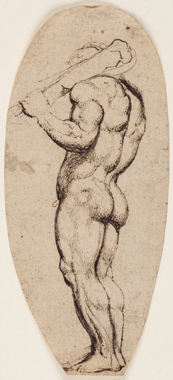 Hercules by Peter Paul Rubens