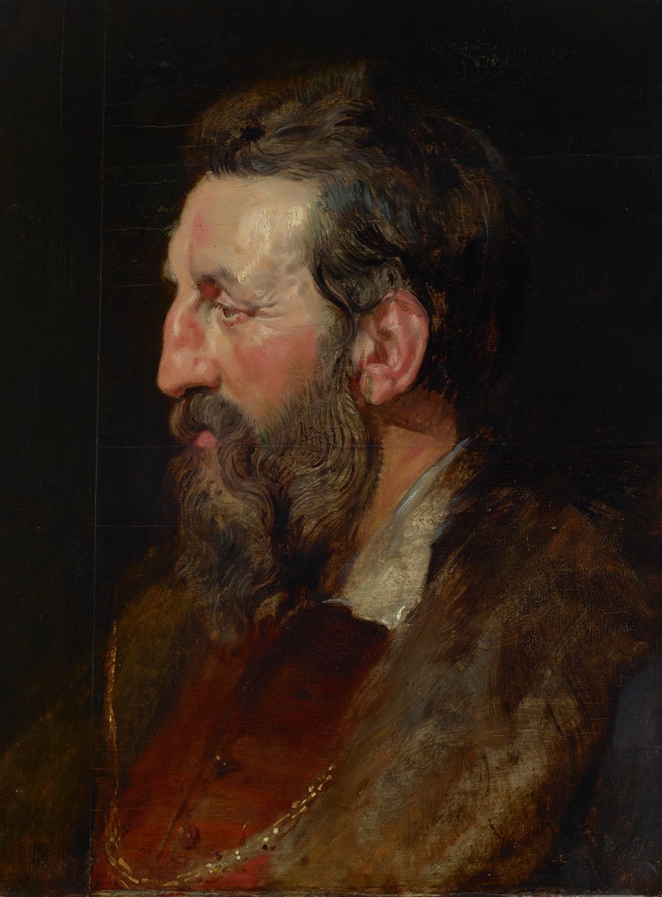 Portrait of a Man by Peter Paul Rubens