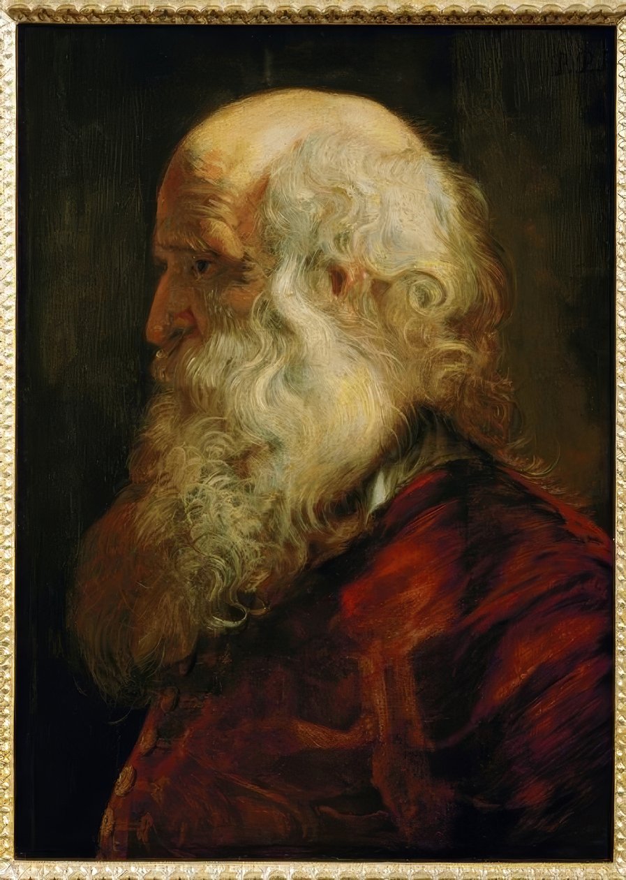 Study Head of an Old Man by Peter Paul Rubens