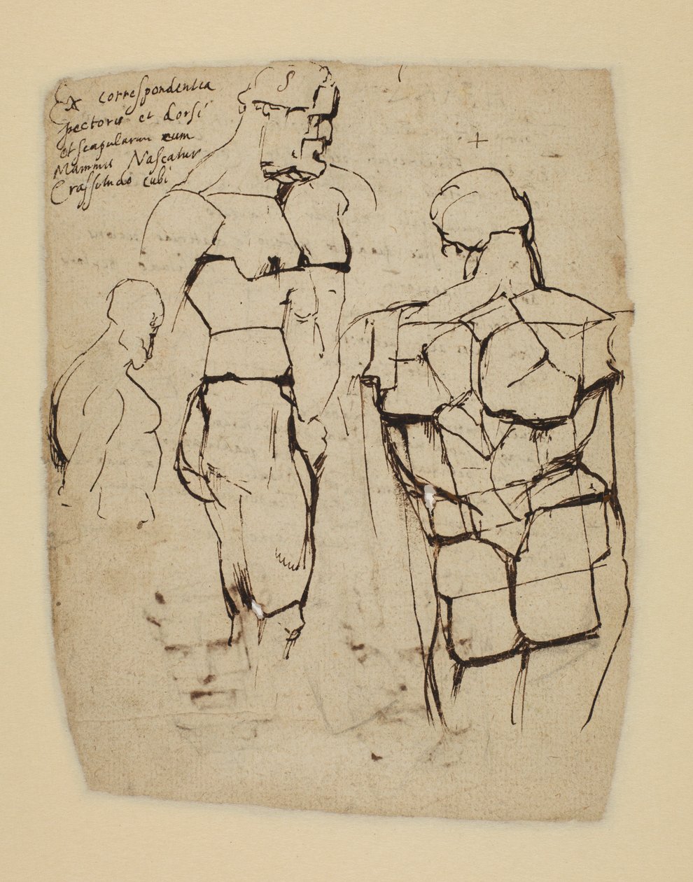 Study of the Farnese Hercules by Peter Paul Rubens