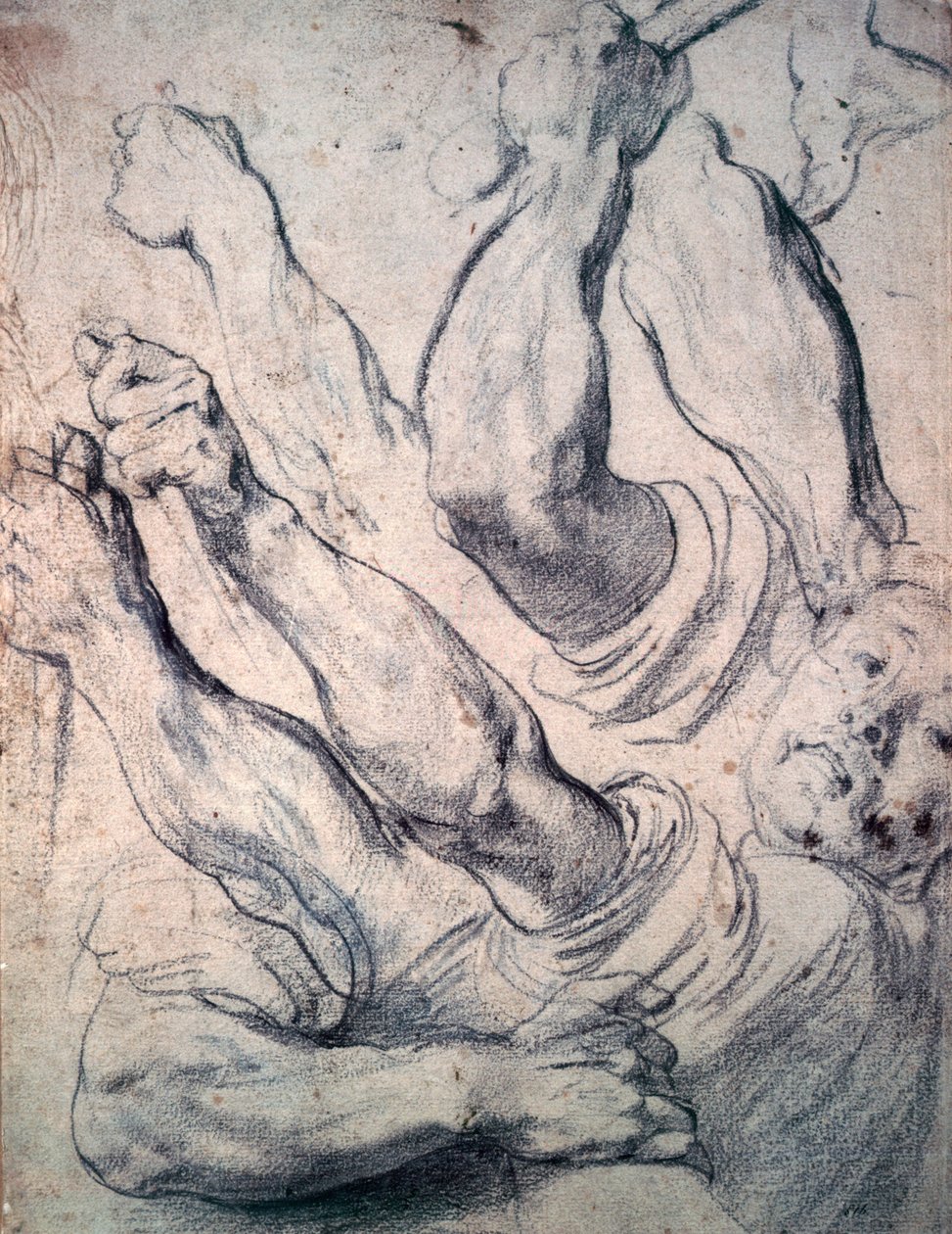 Unknown Image by Peter Paul Rubens