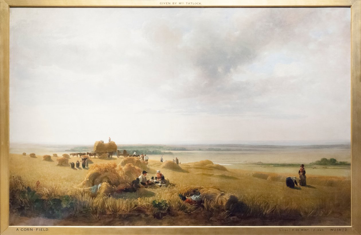 A Cornfield by Peter de Wint