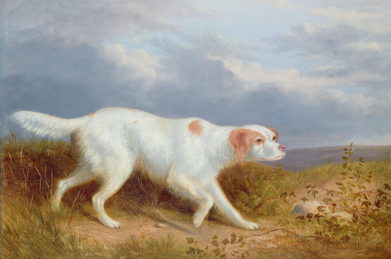 A Setter on the Moor by Philip Reinagle