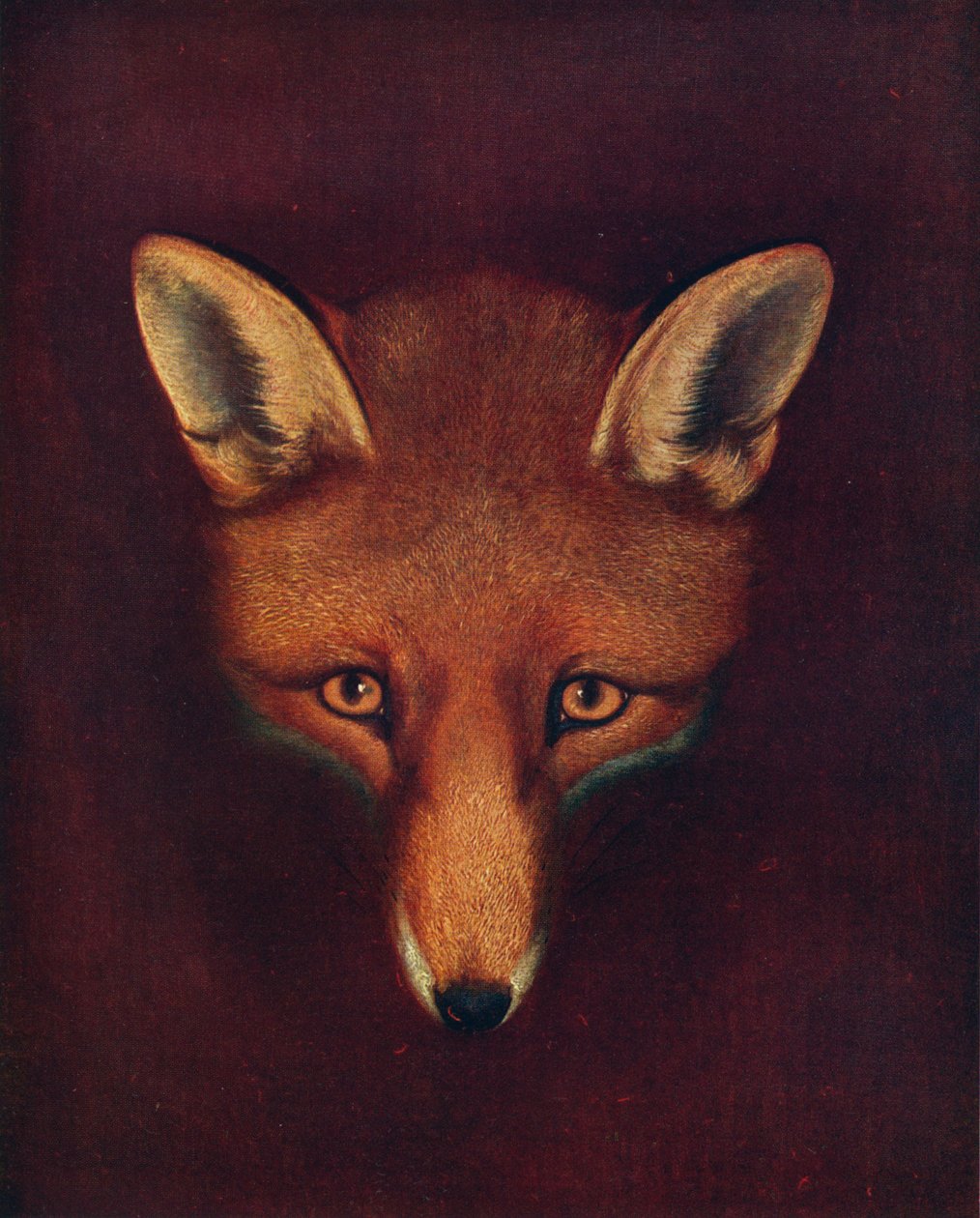 Renard the Fox by Philip Reinagle