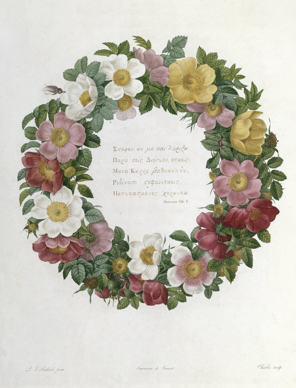 Christmas Roses by Pierre Joseph Redouté