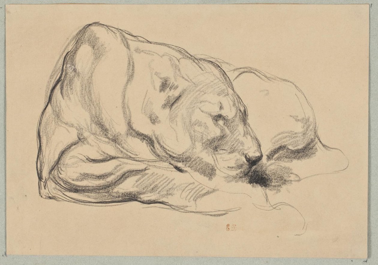 Lying Lioness by Pierre Andrieu