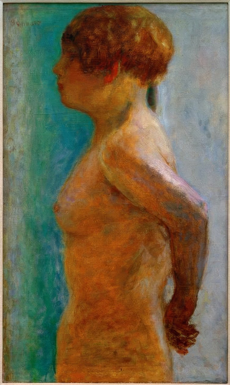 Torso of a Woman in Profile by Pierre Bonnard