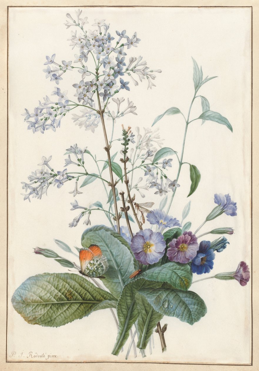 A Bouquet of Flowers with Insects by Pierre Joseph Redouté