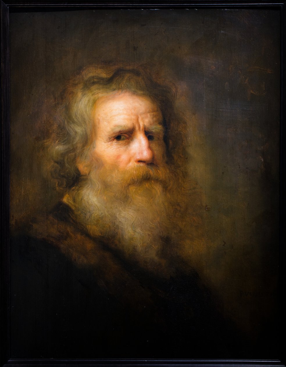 Head of an old man by Pieter Harmansz Verelst