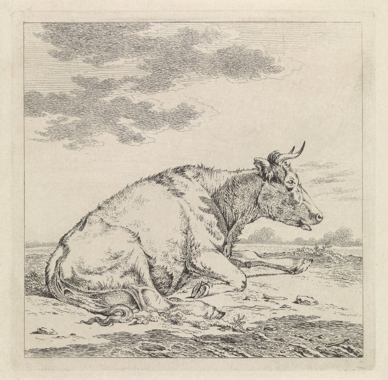 Lying Cow Facing Right by Pieter Janson