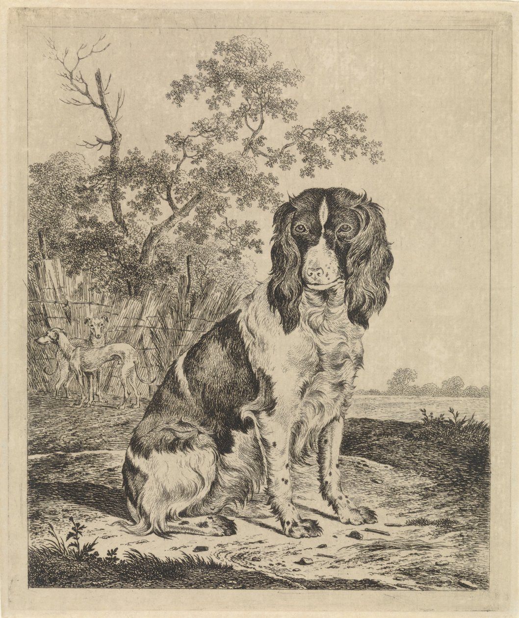 Sitting Partridge Dog by Pieter Janson