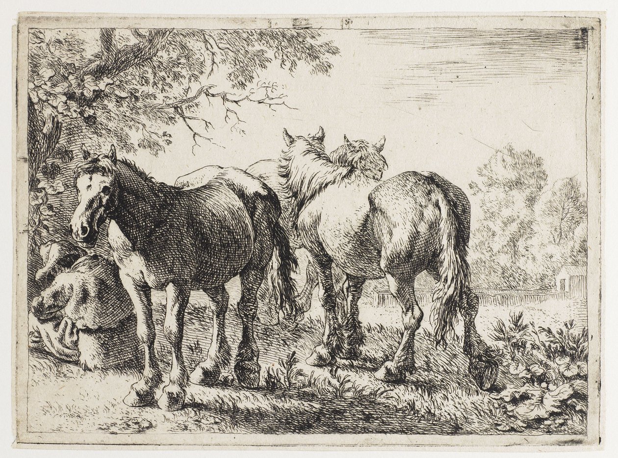 Three Horses in a Field by Pieter van Laer