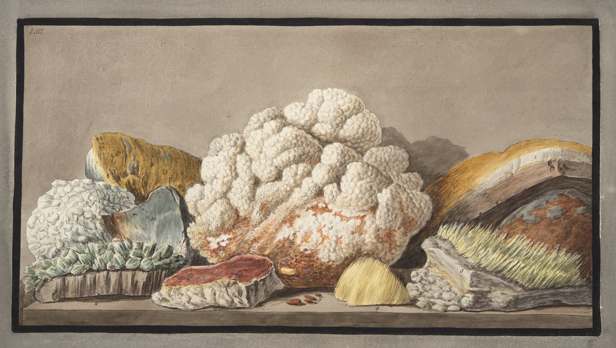 Productions of the Solfaterra, Plate 9 from 
