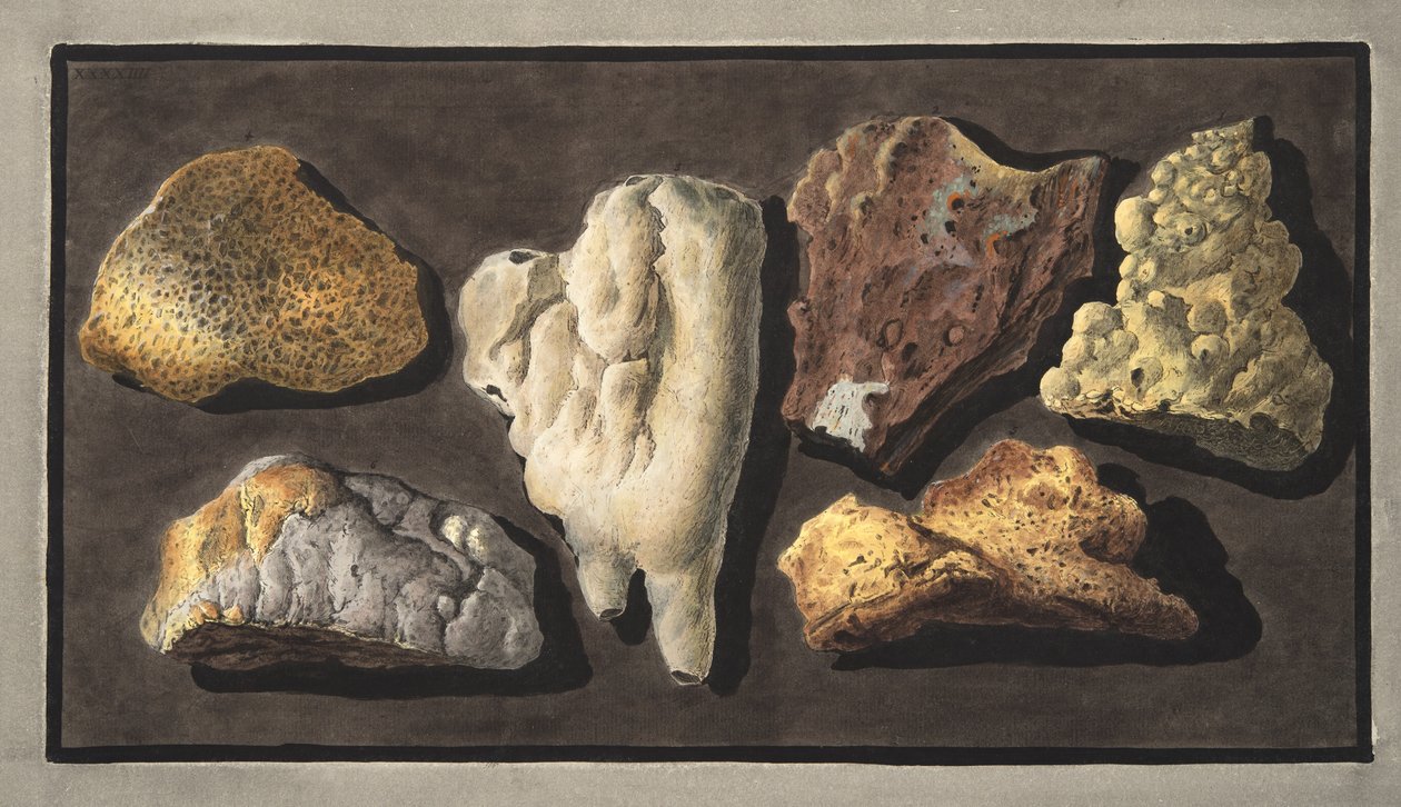 Specimens of volcanic matter taken from the inside of the crater of Vesuvius (Plate XXXXIV, from 